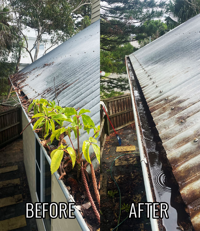 MidCoast Gutter Cleaning in Forster-Tuncurry NSW