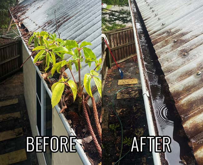 MidCoast Gutter Cleaning Services in Forster-Tuncurry and Port Macquarie NSW