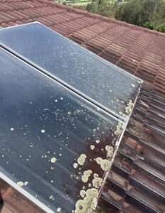 Solar Panel Cleaning in Forster, Taree and Port Macquarie NSW