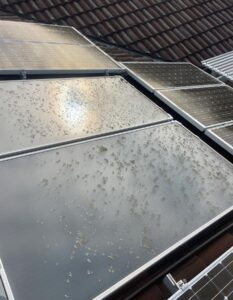 Solar Panel Cleaning in Forster, Taree and Port Macquarie NSW